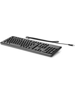 HP USB Keyboard (QY776AA#ABD)